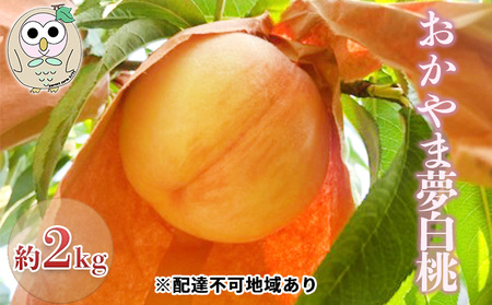 桃 白桃 おかやま夢白桃 約2kg 5～7玉 もも フルーツ 果物 岡山 美咲町産