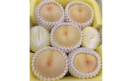 桃 白桃 西王母 約2kg 5～7玉 もも フルーツ 果物 岡山 美咲町産
