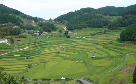 レンジ アップ ごはん 岡山県美咲町大垪和西棚田米 （ コシヒカリ ）20パックセット 米 パック ごはん 保存 レトルト