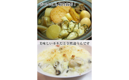 米田海産の広島かき むき身500g 加熱調理用【広島 牡蠣】