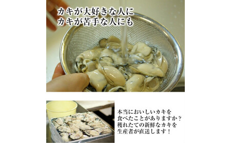 米田海産の広島かき むき身500g 加熱調理用【広島 牡蠣】