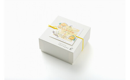 カスターニャ特製ドレッシング&レモンケーキセット