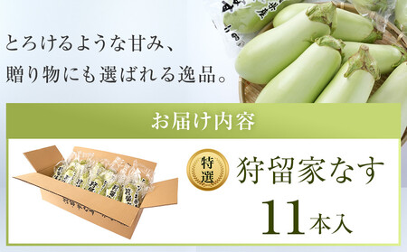 【先行予約】狩留家なす 11本 ≪2026年7月～発送開始≫