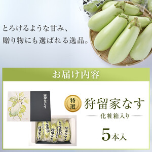 【先行予約】狩留家なす5本入(化粧箱入) ≪2026年7月～発送開始≫