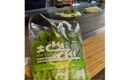 広島迷彩(名菜)焼き(うどん) 2枚セット