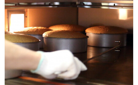 広島ご当地菓子 蘭楽堂のバターカステラ 2個