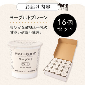 牧場直送 サゴタニ牧農 ヨーグルト  プレーン　16個セット | ヨーグルト