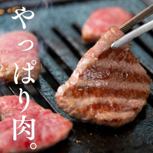 広島牛お手軽BBQセット 3~4人前