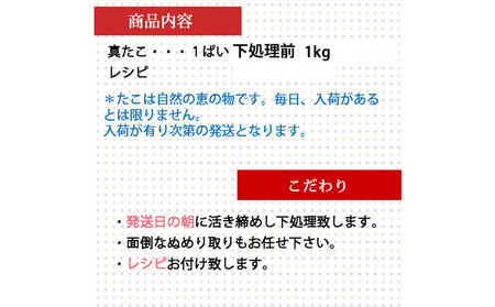 活き締め真たこ1ぱい約1kg　レシピ付き 蛸 生 刺身