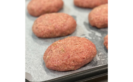【調理済】A4広島牛と炒め玉ねぎの焼きハンバーグ5個&お肉専用ソースセット