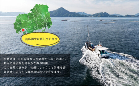 【3回定期便】牡蠣 むき身 500g  加熱用 (1月～3月発送)