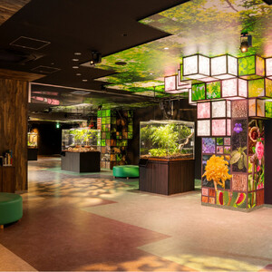 広島もとまち水族館　ペア入場券