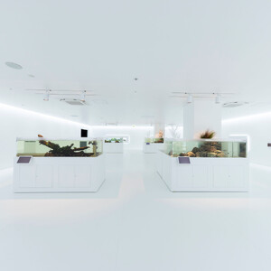 広島もとまち水族館　ペア入場券