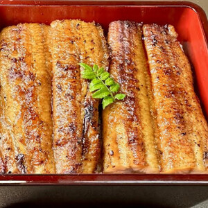 国産うなぎの蒲焼き 5尾（合計875g）