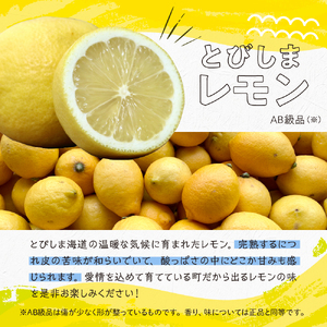 【期間限定】とびしまレモン0.5kgとレモン商品お試し味見セット