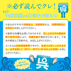 牡蠣　広島　矢野水産 フレッシュギフト 生牡蠣むき身800g 加熱用