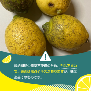 【2025年12月上旬～発送】【訳あり】希少な国産オーガニックレモン2.0kg【栽培期間中農薬不使用】ku026-004-25