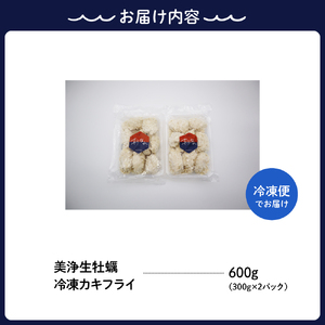 【定期便 3か月】中野水産 美浄生牡蠣 冷凍カキフライ