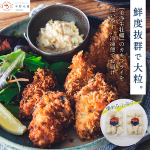 【定期便 12か月】中野水産 美浄生牡蠣 冷凍カキフライ