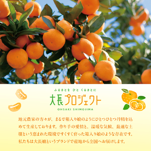 大長娘 100% 蜜柑ジュース 720ml×3本 ku161-002-r