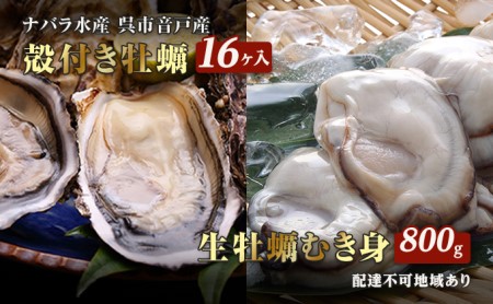 殻付き 生牡蠣セット(大)