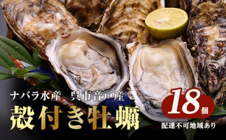 殻付き牡蠣 20~23ヶ入り