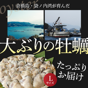 北吉水産 広島県産 冷凍 かき Lサイズ 1kg 大粒 自社ブランド 牡蠣 カキ 急速冷凍 バラ冷凍 新鮮 美味しい 殻むき不要 小分け 便利 アレンジいろいろ カキフライに 広島県 呉市