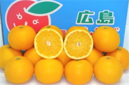 八朔(はっさく)5kg 山清青果