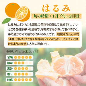 【2026年1月下旬～発送】倉橋ミカン食べてクレ園 はるみ 約5kg ku154-005-25