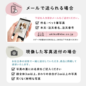 「ペット筆」1個 お仕立券 ku072-027-r