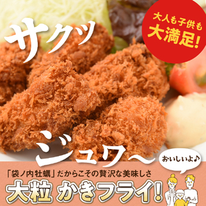 北吉水産 広島県産 冷凍 かきフライ 500g (25g20粒×1ﾄﾚｰ) ku004-007-r