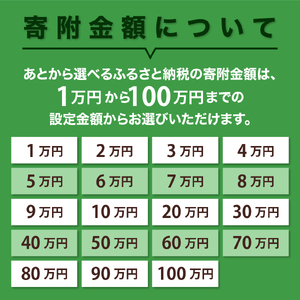 あとからセレクト【ふるさとギフト】寄附100,000円　広島県呉市 ku999-010