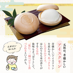 巴屋アイスもなか詰め合わせ 18個入り お取り寄せ おやつ デザート スイーツ お土産 巴屋  ku067-002-r