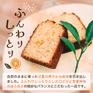 甘夏のパウンドケーキ 1本 広島県 呉市 ku210-001-r