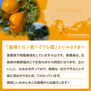 【2025年12月初旬～発送】倉橋ミカン食べてクレ園 いしじみかん 約5kg ku154-001-25