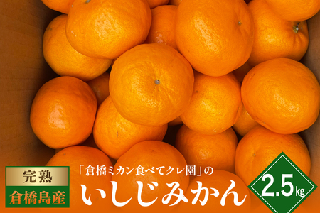【2026年1月～発送】倉橋ミカン食べてクレ園 いしじみかん 約2.5kg ku154-007-25