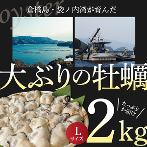 北吉水産 広島県産 冷凍 かき Lサイズ 2kg（1kg×2袋） 大粒 自社ブランド 牡蠣 カキ 急速冷凍 バラ冷凍 新鮮 美味しい 殻むき不要 小分け 便利 アレンジいろいろ カキフライに 広島県 呉市 ku004-008-r
