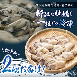 高田水産　冷凍かき　2kg（1kg×2袋）LLサイズ　大粒 国産 広島県 呉市産 牡蠣 むき身 便利 お取り寄せ グルメ アレンジ 1つ1つ 冷凍 鍋 かき飯 カキフライ ku010-009-r