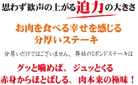 熟成牛1ポンド ステーキ 2 25kg 配達不可 北海道 沖縄 離島 広島県呉市 ふるさと納税サイト ふるなび