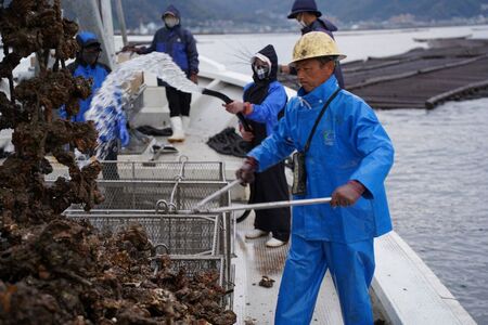 呉市養殖かき事業者支援寄附金　ku000-003-1-r