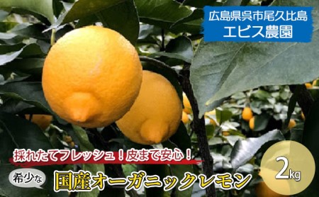 ナガマツ【クール便】無農薬！広島県大崎下島産 特別栽培レモン8キロ 2025年10月中旬～発送】大崎下島産 栽培期間中農薬不使用 瀬戸内