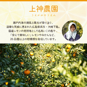 上神農園の冷凍島デコちゃん 一房タイプ約250g×12袋 ku011-028-r