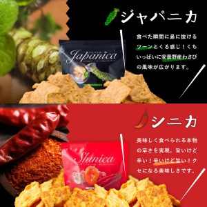レモニカシリーズ 5種食べくらべセット（5種10袋）