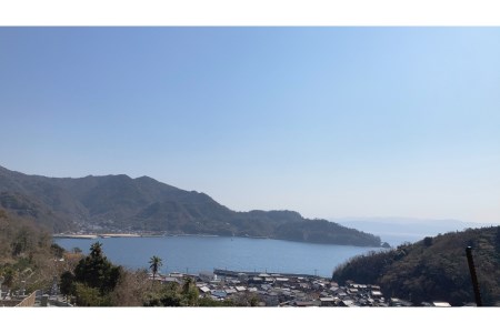 しまcafeきたたにの牛スジカレー 5個セット スパイシー レトルト レモン使用 ご飯 とびしま海道 広島県 呉市 