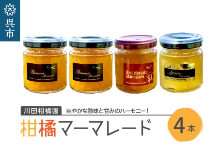 島の恵み 瀬戸内 柑橘 マーマレード 4本 セット  食べ比べ セット 紅八朔 レモン しらぬい ジャムセット シトラス お取り寄せグルメ 送料無料 広島県 呉市