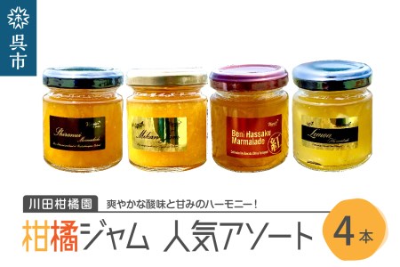 島の恵み 瀬戸内 柑橘ジャム 人気アソート 4本 セット 食べ比べ セット 温州みかん 紅八朔 レモン しらぬい ジャムセット シトラス お取り寄せグルメ 送料無料 広島県 呉市【合成保存料 着色料 不使用】