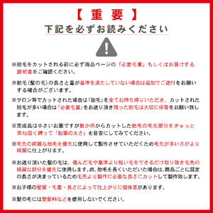 赤ちゃんの筆「プチボックス ことり」1個お仕立券  赤ちゃん筆 胎毛筆 カール筆 名入れ ファーストヘア 髪の毛 くせ毛 手のひらサイズ 桐箱入り 記念品 記念日 晴れの日 七五三 新生活 新学期 プレゼント 贈り物 ギフト 広島県 呉市