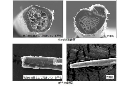 高級 化粧筆 古羊毛 なでしこパールピンク チークブラシ