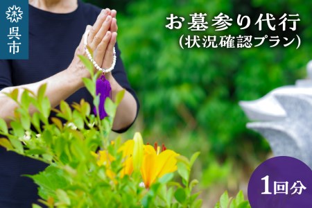 お墓参り代行 状況確認プラン お墓 合掌礼拝 写真撮影 1回 広島県 呉市 ku078-012-r