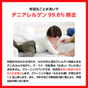 クリーニングパンダ】 ふとんクリーニング丸洗い2枚パッククーポン 布団丸洗い 最大15ヶ月保管 羽毛布団 掛け布団 敷布団 和布団 こたつ布団 毛布  ベビー寝具 カーペットカバー クリーニング 宅配 寝汗 家庭の 洗濯機 落ちない 汚れ 広島県 呉市 | 広島県呉市 | ふるさと ...